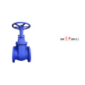 ANSI CAST IRON VALVE 125LB